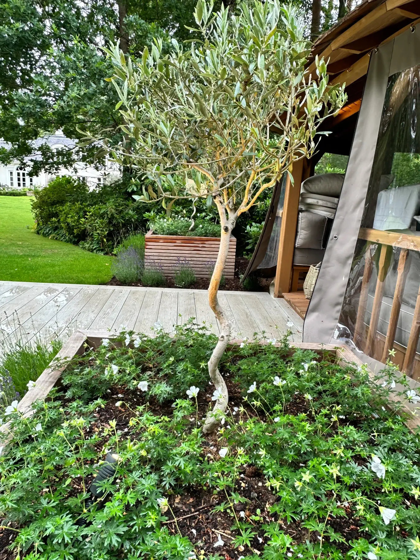 Garden Installation, Virginia Waters — image 4